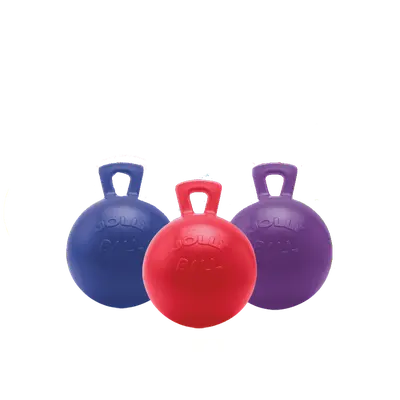 Jolly Ball 10" - Blue 1