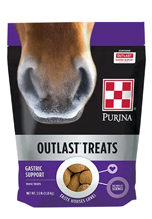 Purina Outlast Gastric Support Horse Treat Supplement 3.5Lb 1