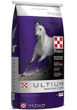Purina Ultium Gastric Care 50Lb 1
