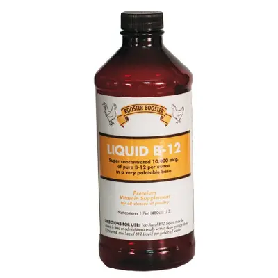 Rooster Booster B12 16Oz 1
