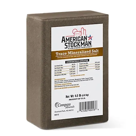 Trace Mineral Brick 1